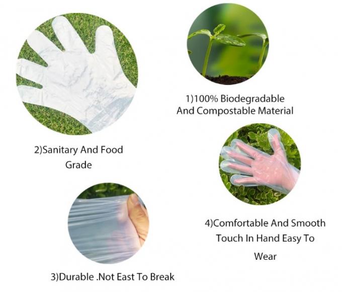 Transparent Biodegradable Disposable Gloves Middle Size 100pcs/Box for Parties 3